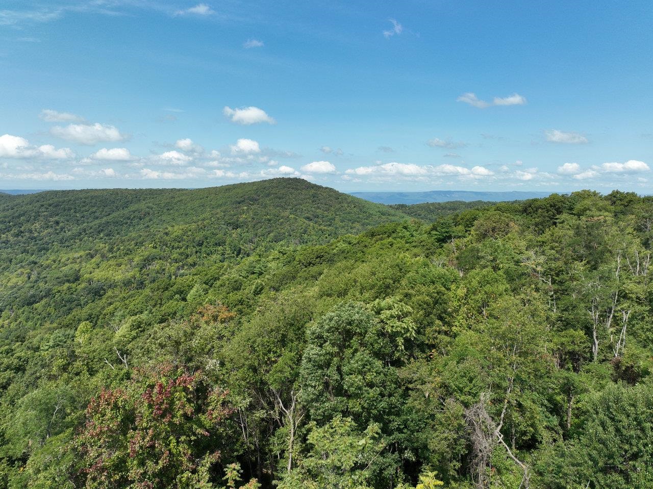 Lot 1 Price Ridge Road Stanley, VA 22851 - Photo 5 of 43 Gallery Image 5