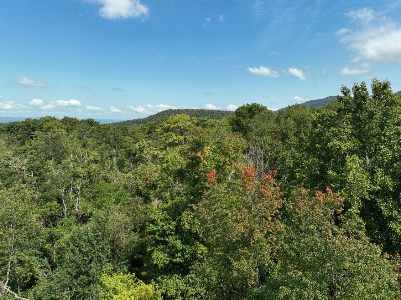 Lot 1 Price Ridge Road Stanley, VA 22851 - Photo 6 of 43 Gallery Image 6