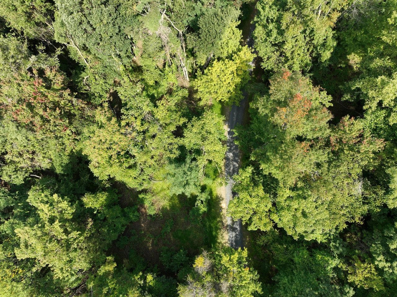 Lot 1 Price Ridge Road Stanley, VA 22851 - Photo 7 of 43 Gallery Image 7