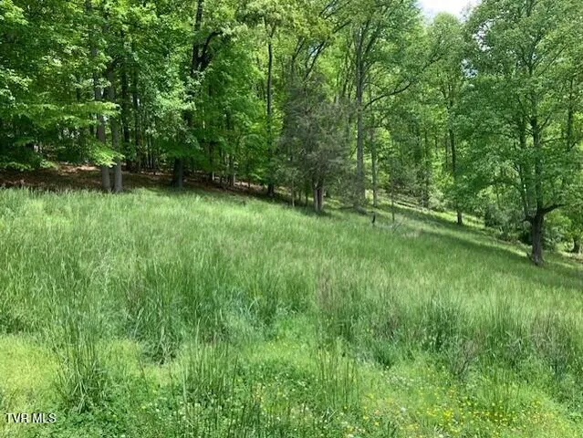 $138,000 | 1478 Bellamy Tipton Road, Gate City, VA 24251