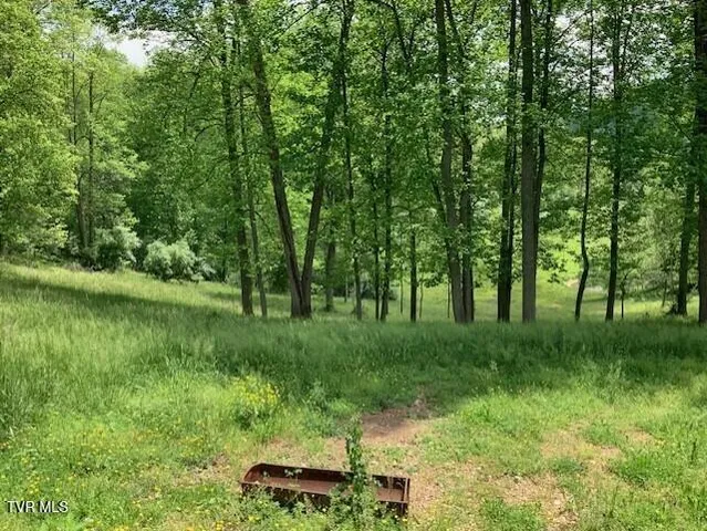 $138,000 | 1478 Bellamy Tipton Road, Gate City, VA 24251