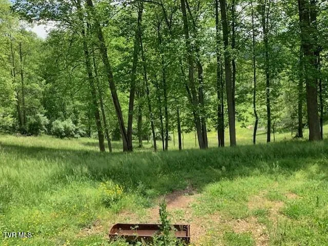 $138,000 | 1478 Bellamy Tipton Road, Gate City, VA 24251