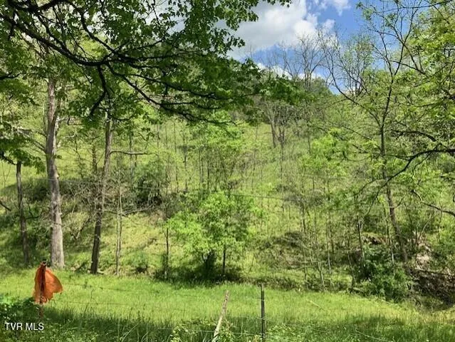 $138,000 | 1478 Bellamy Tipton Road, Gate City, VA 24251