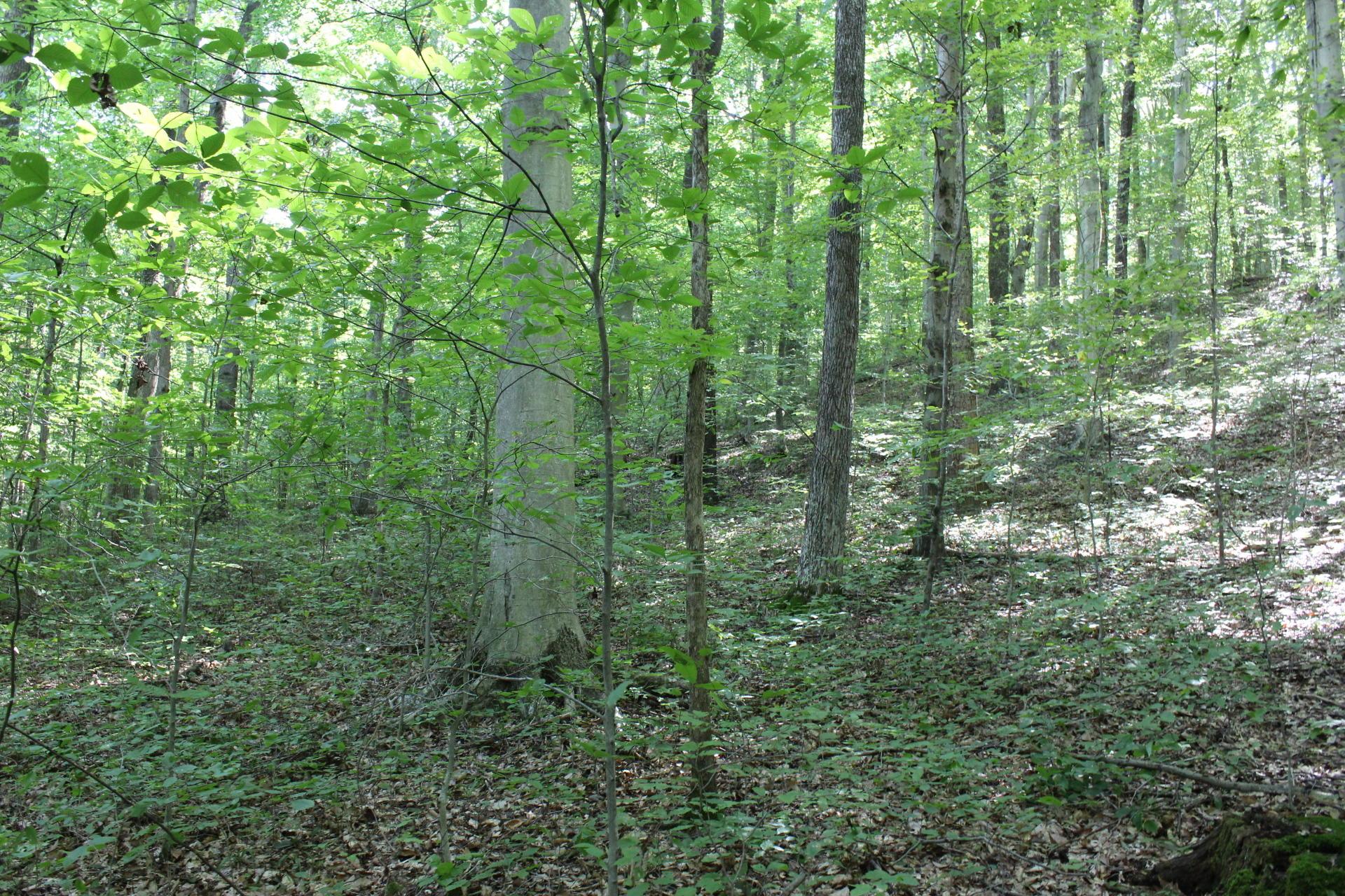 0 Price Road Logan, OH 43138 - Photo 23 of 34 Gallery Image 23