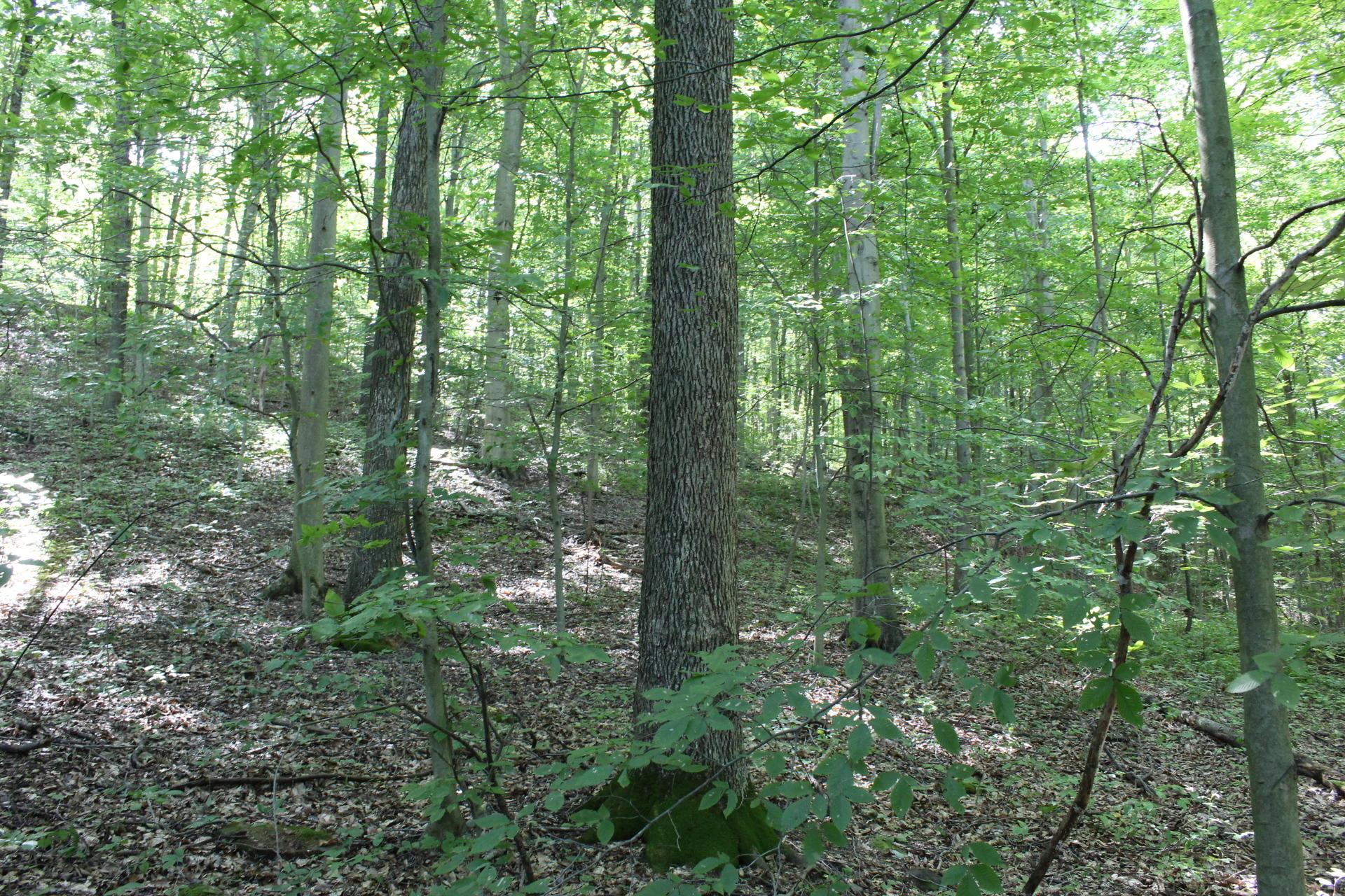 0 Price Road Logan, OH 43138 - Photo 24 of 34 Gallery Image 24
