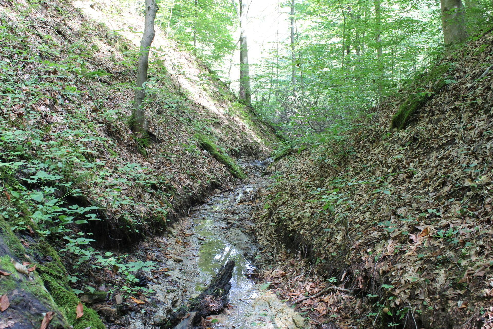 0 Price Road Logan, OH 43138 - Photo 10 of 34 Gallery Image 10
