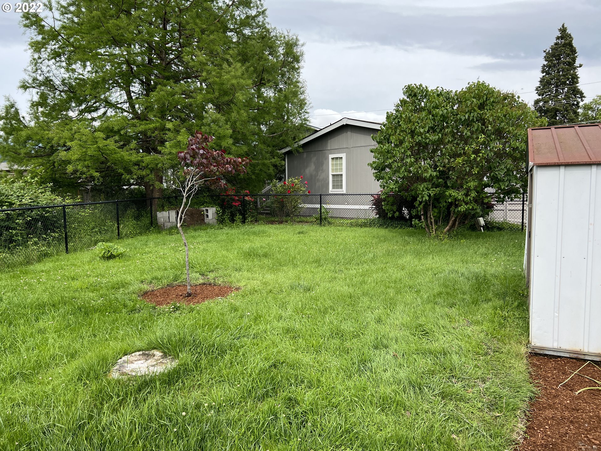 2150 Laura Street, Unit 211 Springfield, OR 97477 - Photo 6 of 14 a backyard of a house with seating space