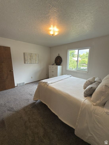 1164 East Mountain Road Logan, UT 84321 - Photo 25 of 52 Soft gray carpeting throughout