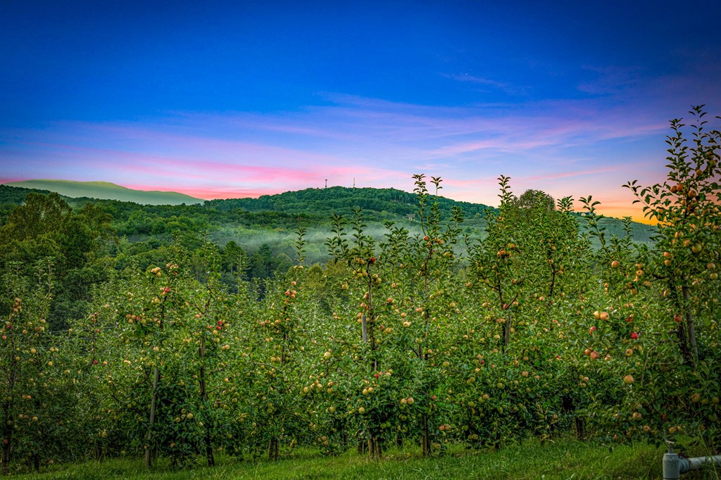 1241 Scenic Drive Blue Ridge, GA 30513 - Photo 13 of 96