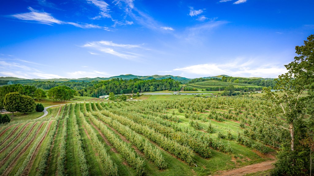 1241 Scenic Drive Blue Ridge, GA 30513 - Photo 25 of 96