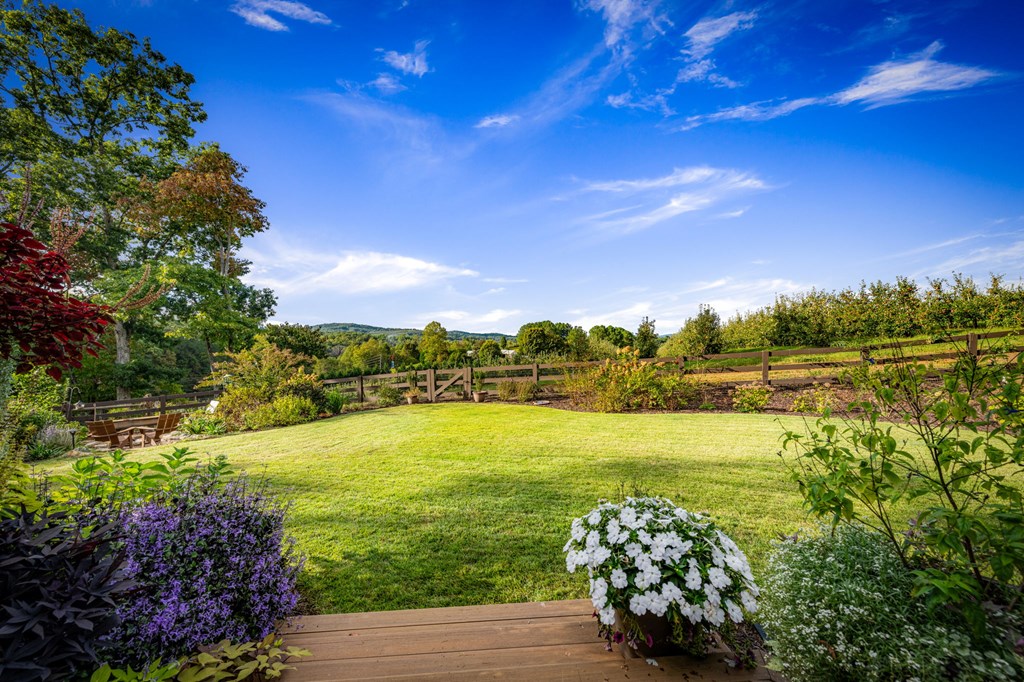 1241 Scenic Drive Blue Ridge, GA 30513 - Photo 74 of 96