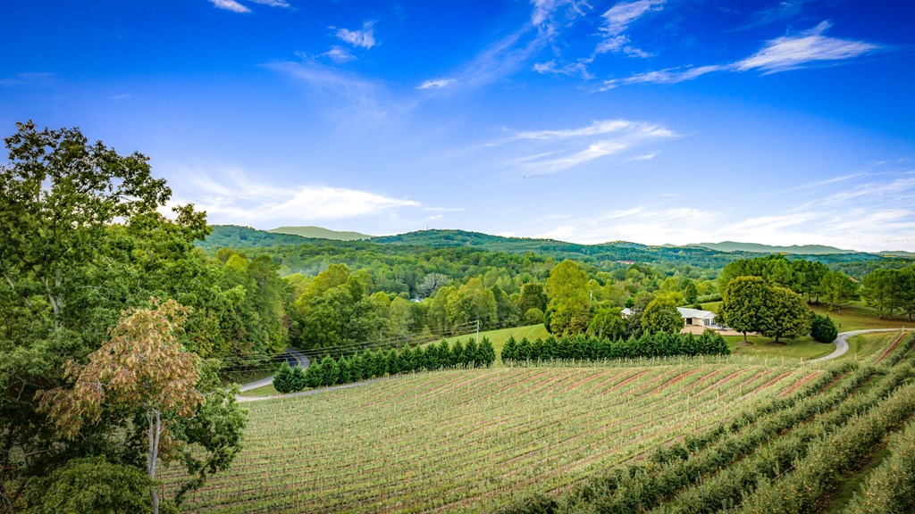 1241 Scenic Drive Blue Ridge, GA 30513 - Photo 77 of 96