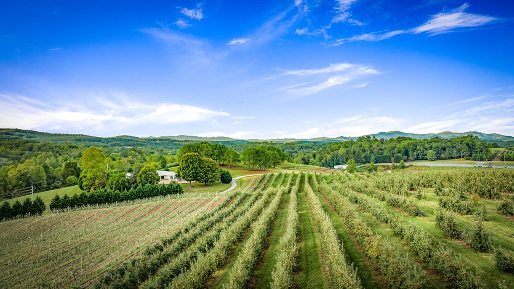 1241 Scenic Drive Blue Ridge, GA 30513 - Photo 78 of 96