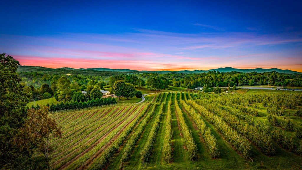 1241 Scenic Drive Blue Ridge, GA 30513 - Photo 82 of 96