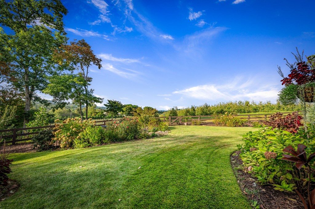 1241 Scenic Drive Blue Ridge, GA 30513 - Photo 88 of 96