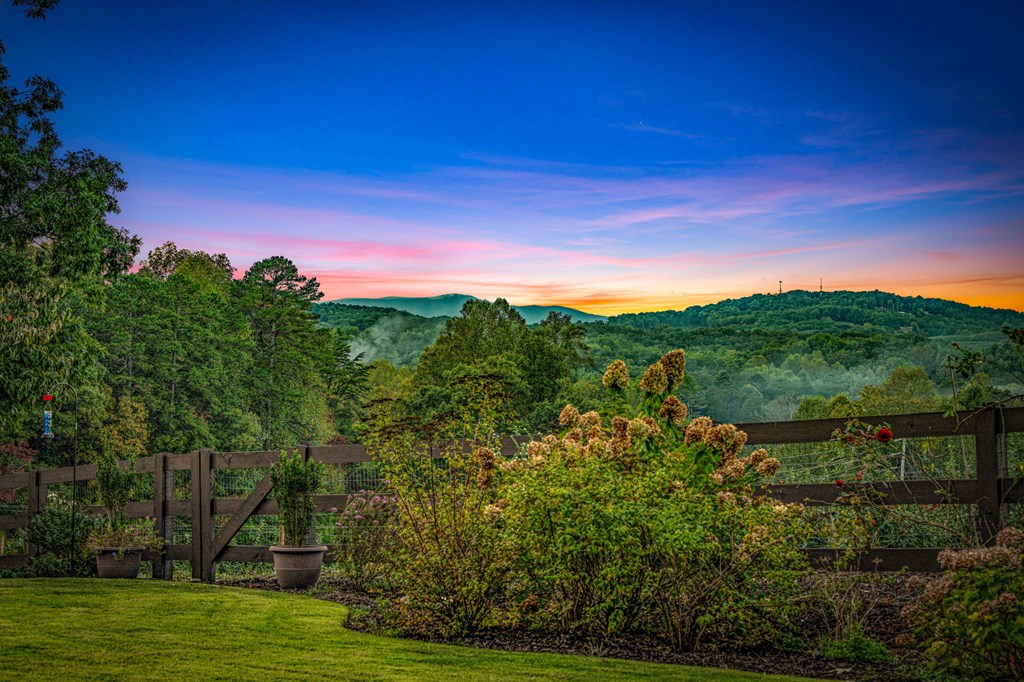 1241 Scenic Drive Blue Ridge, GA 30513 - Photo 95 of 96