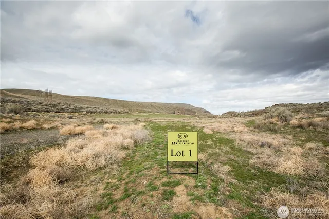 a view of a backyard with wooden floor