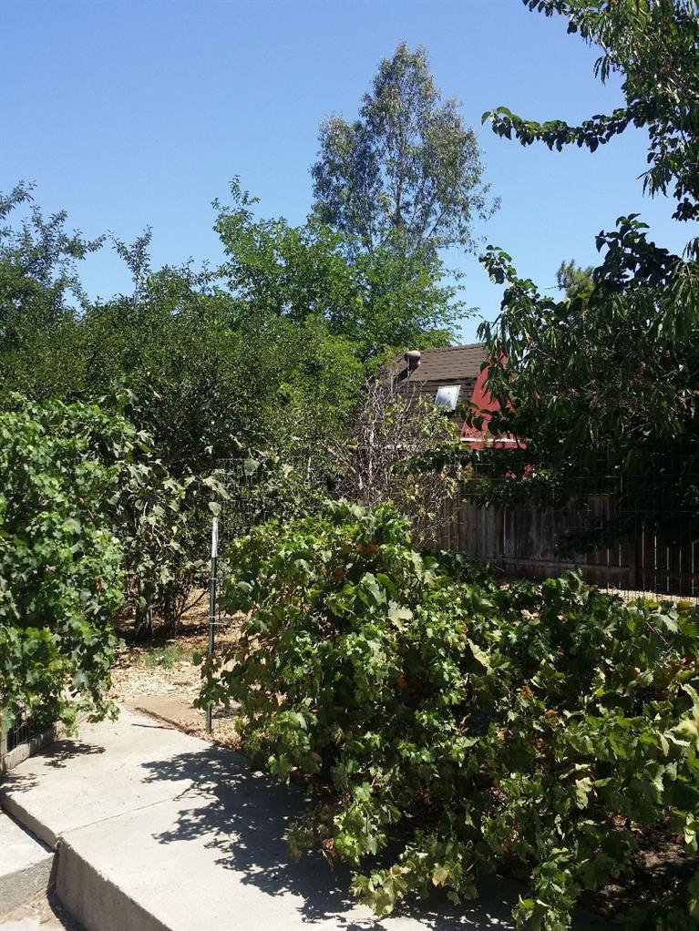 19153 Farallon Road Madera, CA 93638 - Photo 22 of 28 Gallery Image 22