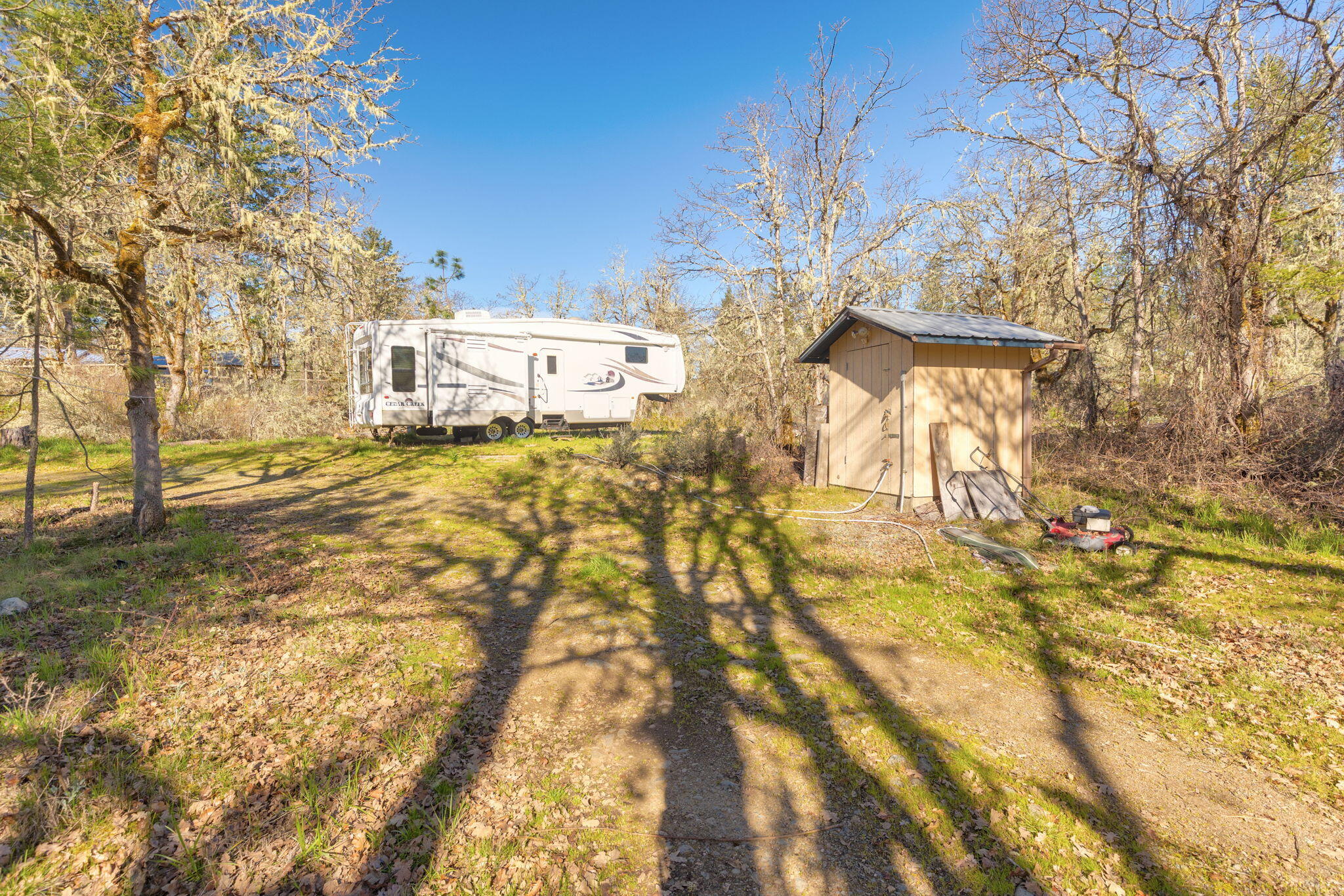 5737 Rockydale Road Cave Junction, OR 97523 - Photo 25 of 39 a view of a yard with some trees