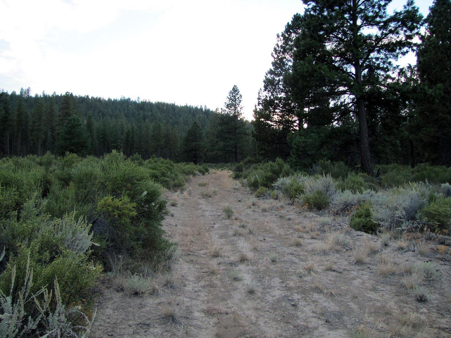 0 Sprague River Road Chiloquin, OR 97624 - Photo 3 of 15 Additional Photo