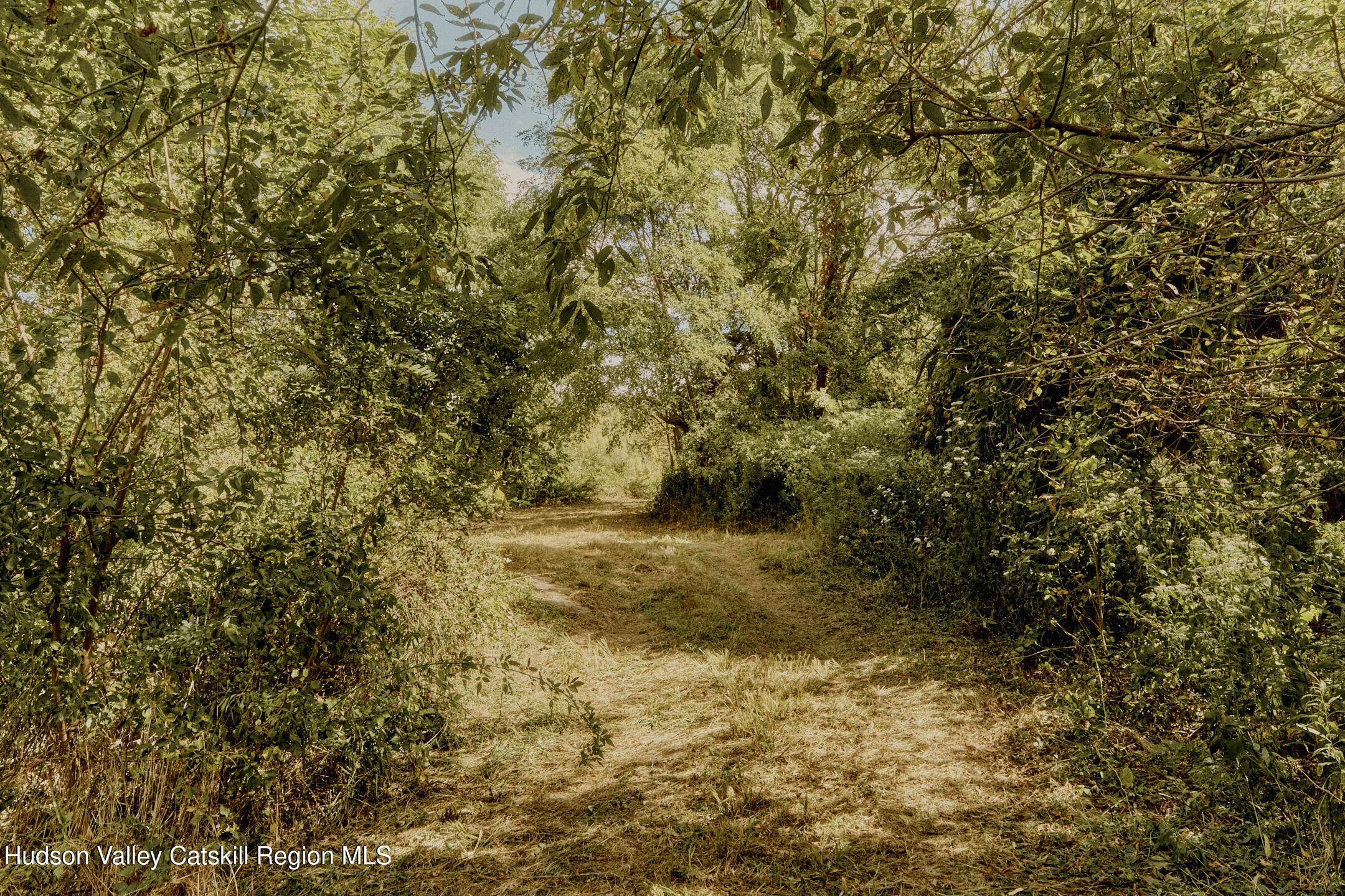 1320 River Road Schodack, NY 12156 - Photo 23 of 27 Copy of 2024.09.24_LM_SCHODACKLANDING__1