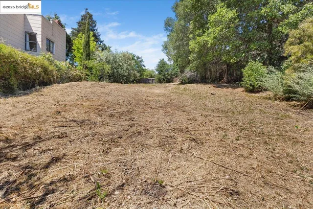 a view of a plants with yard