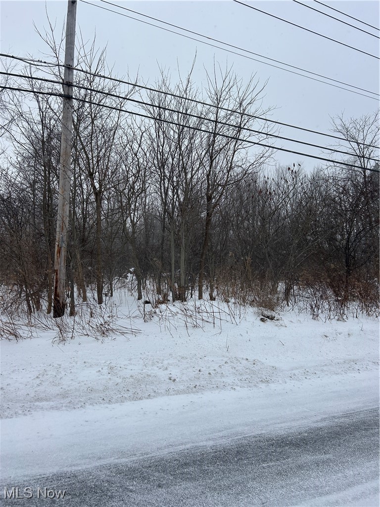 V/l Leroy Center Road Painesville, OH 44077 - Photo 2 of 2