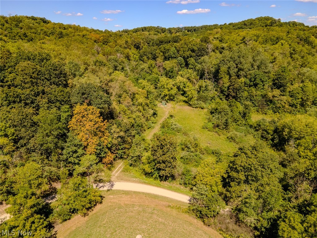 0 Brewer Road Cadiz, OH 43907 - Photo 4 of 37 Aerial view of a forest