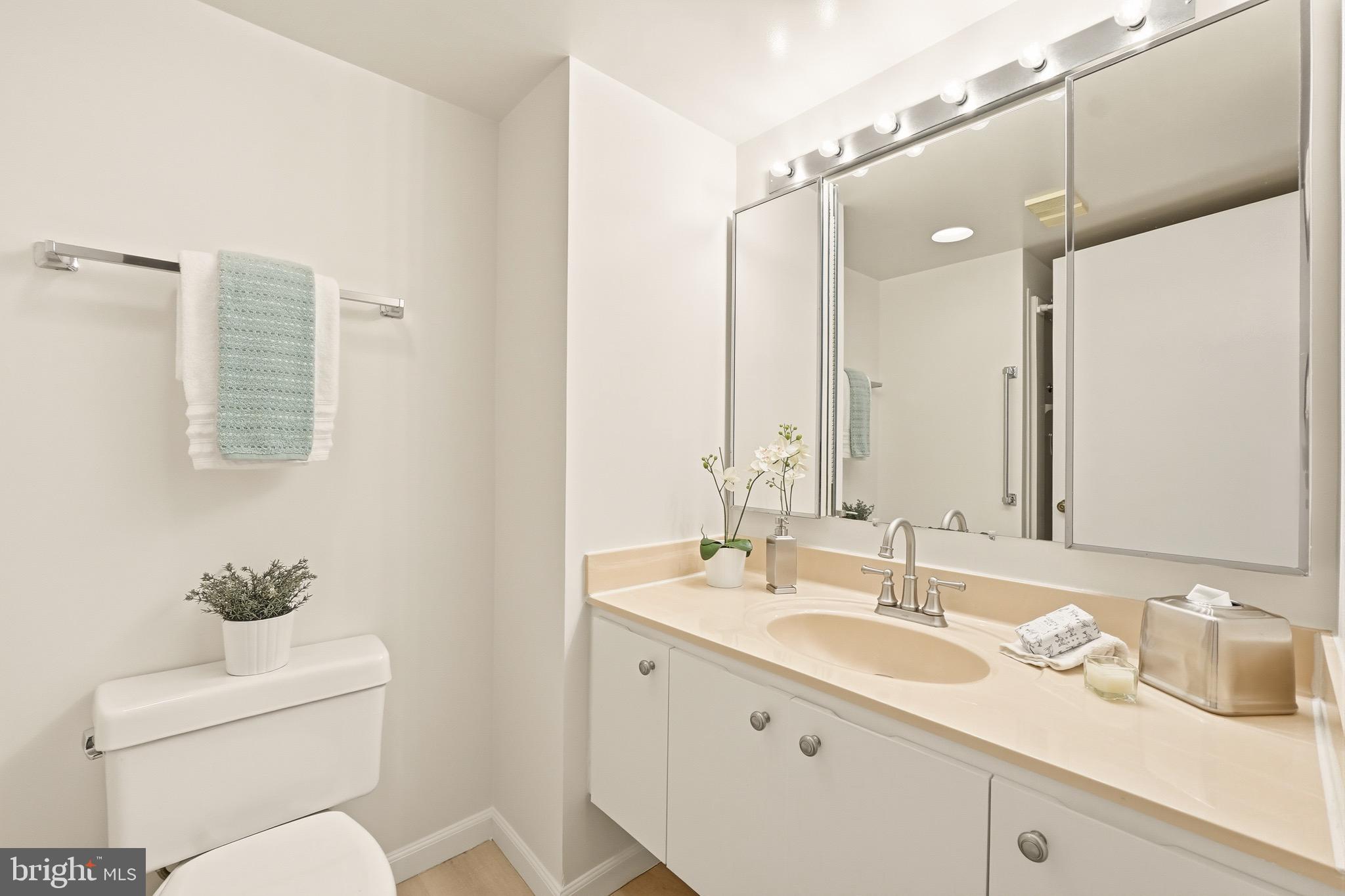 15100 Interlachen Drive, Unit 4206 Silver Spring, MD 20906 - Photo 17 of 19