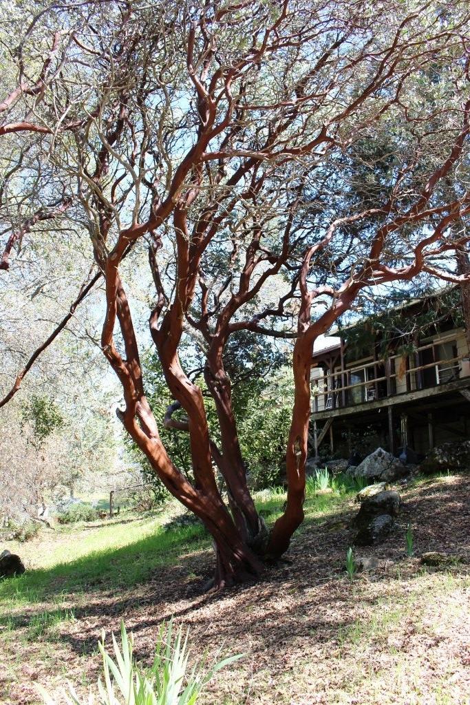 4878 Leonard Road, Unit 13 Mariposa, CA 95338 - Photo 24 of 41 Gallery Image 24