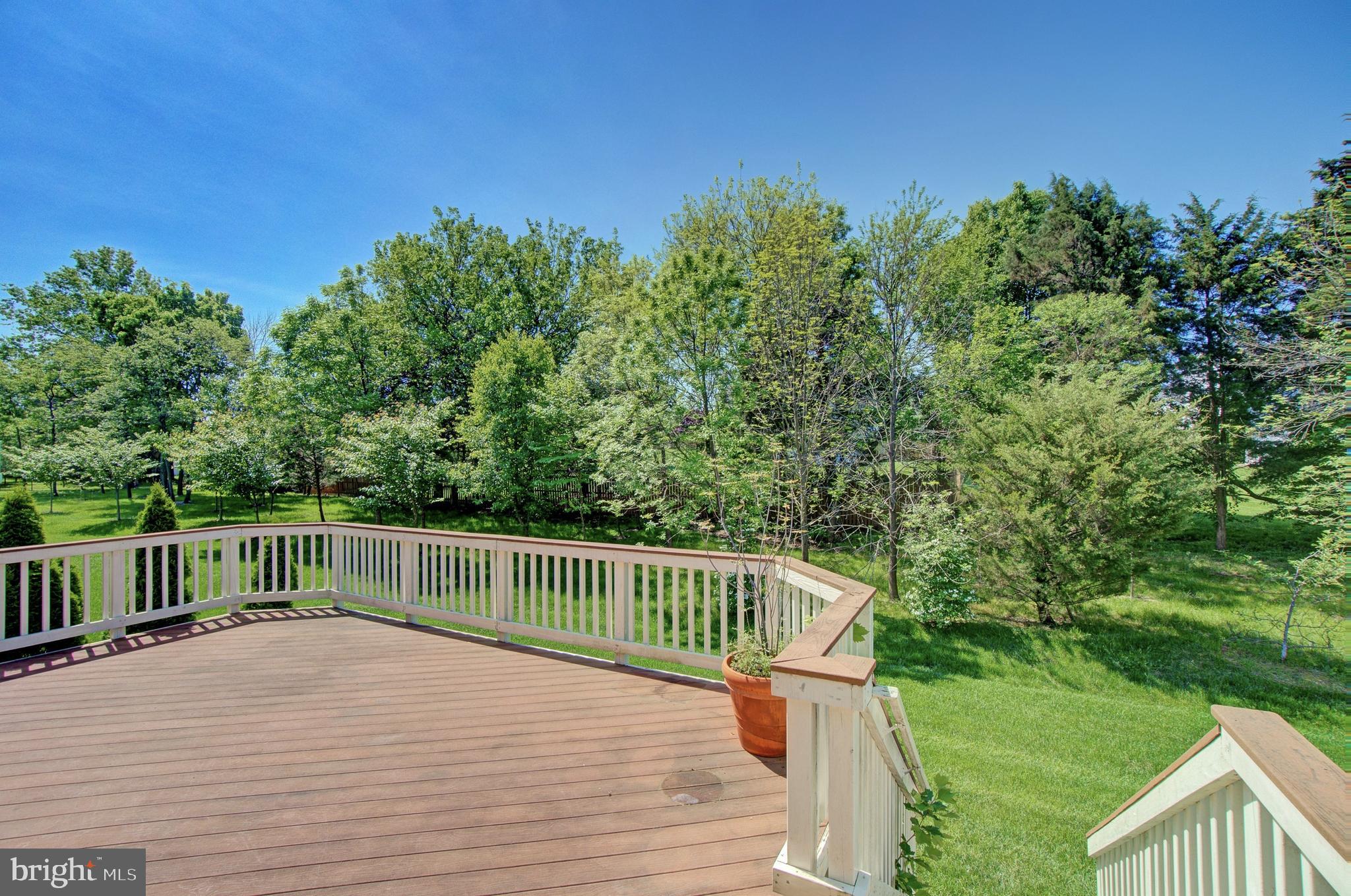 44369 Stone Roses Circle Ashburn, VA 20147 - Photo 18 of 45 Deck