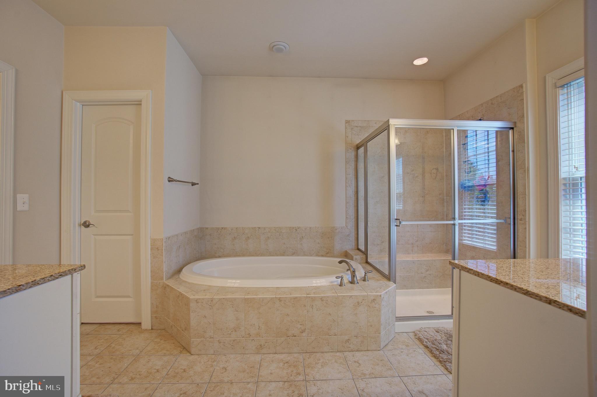 44369 Stone Roses Circle Ashburn, VA 20147 - Photo 25 of 45 Master Bath