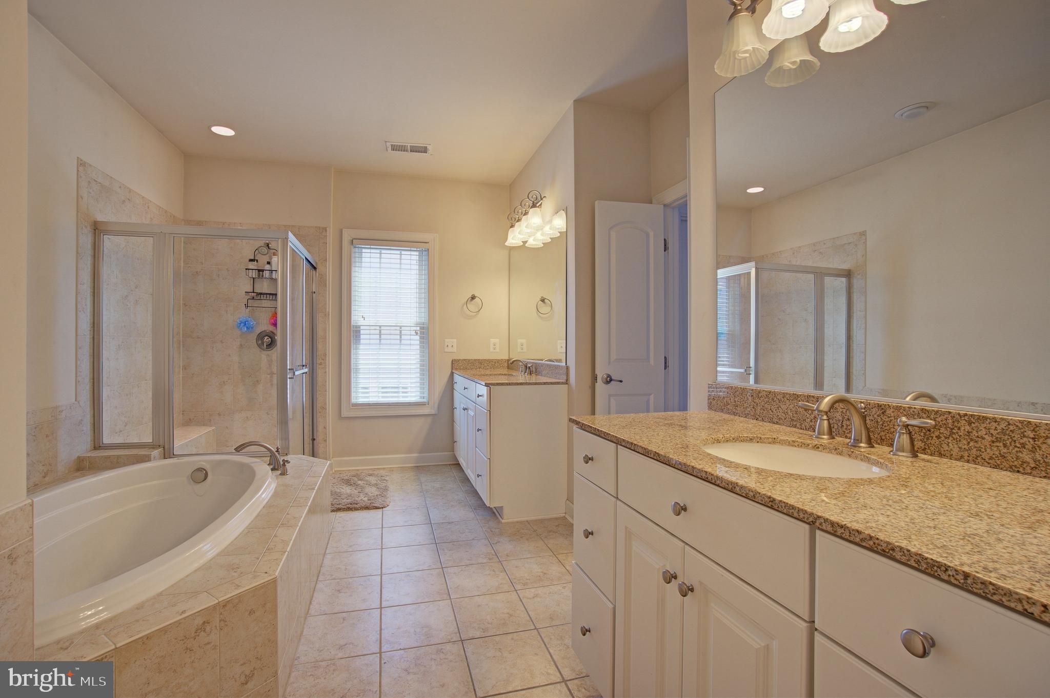 44369 Stone Roses Circle Ashburn, VA 20147 - Photo 26 of 45 Master Bath