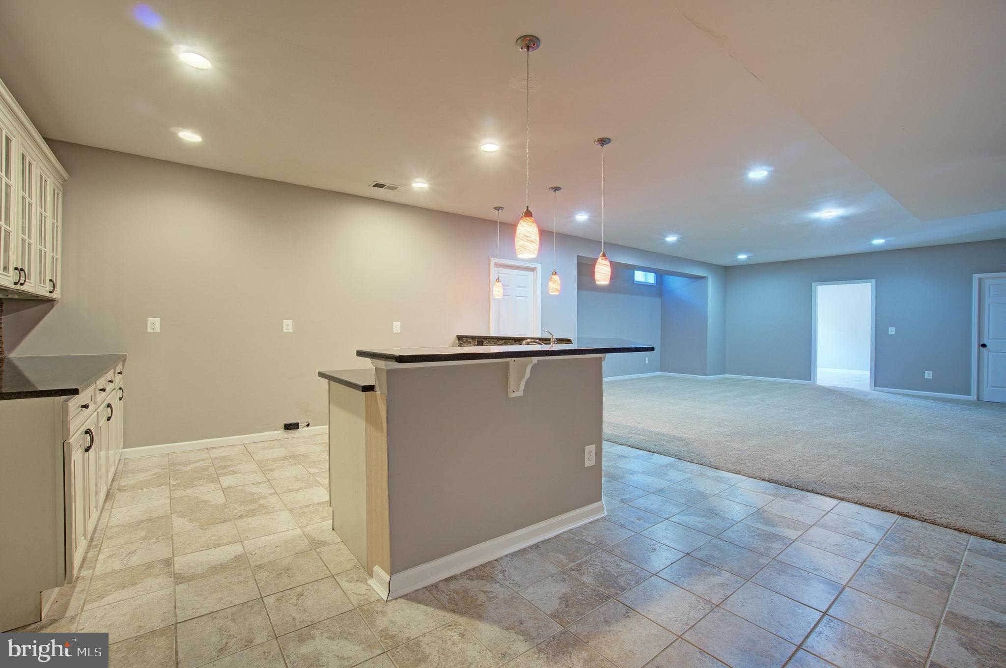 44369 Stone Roses Circle Ashburn, VA 20147 - Photo 32 of 45 Basement