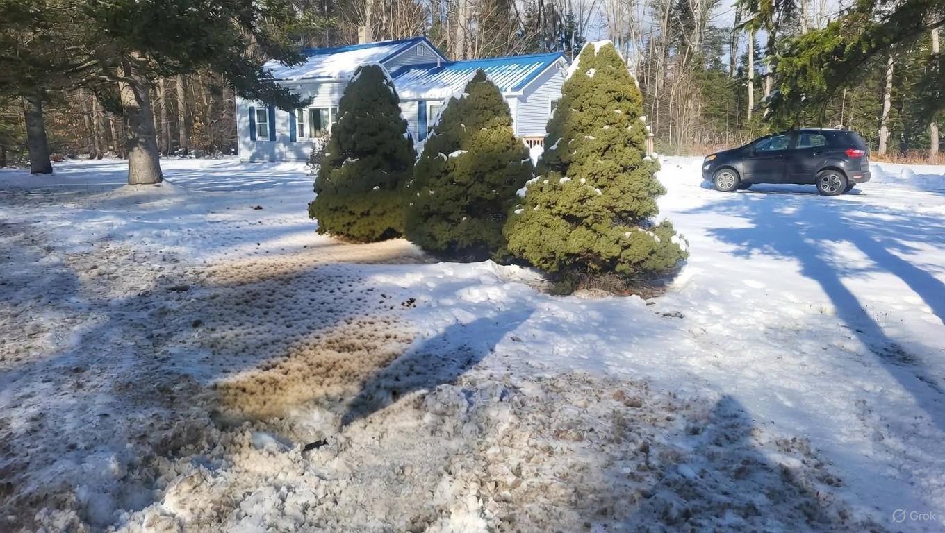 396 Waterville Road Norridgewock, ME 04957 - Photo 2 of 20