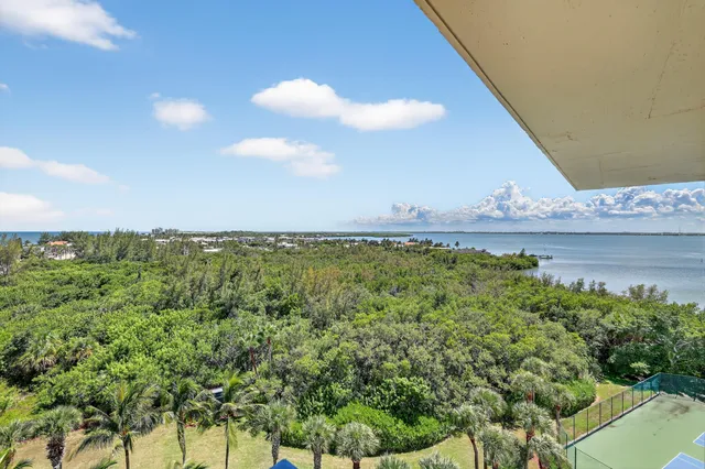 a view of a large yard with lots of green space