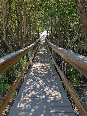 a view of a wooden bridge