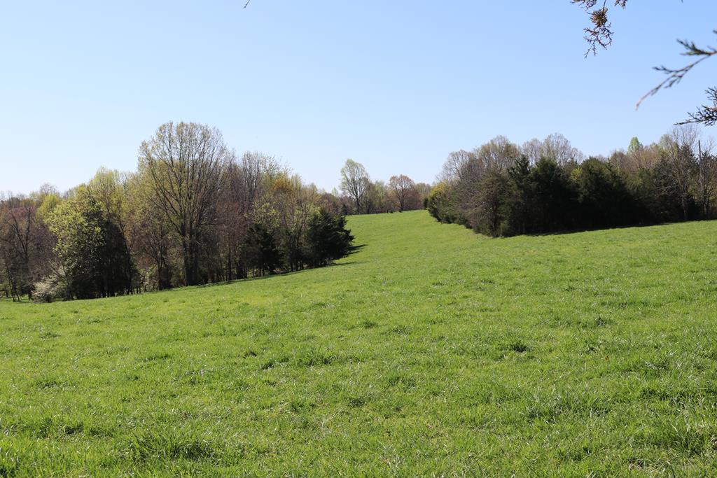 657 Jamestown Road Farmville, VA 23901 - Photo 15 of 19 Gallery Image 15