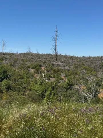 $199,900 | 8744 Maranatha Lane, San Andreas, CA 95249