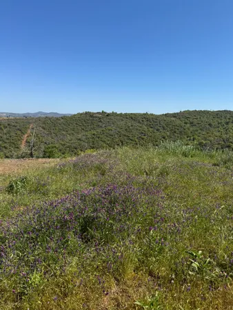 $199,900 | 8744 Maranatha Lane, San Andreas, CA 95249