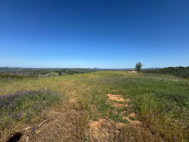 $199,900 | 8744 Maranatha Lane, San Andreas, CA 95249