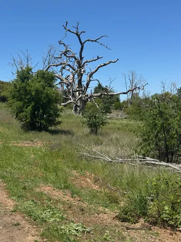 $199,900 | 8744 Maranatha Lane, San Andreas, CA 95249