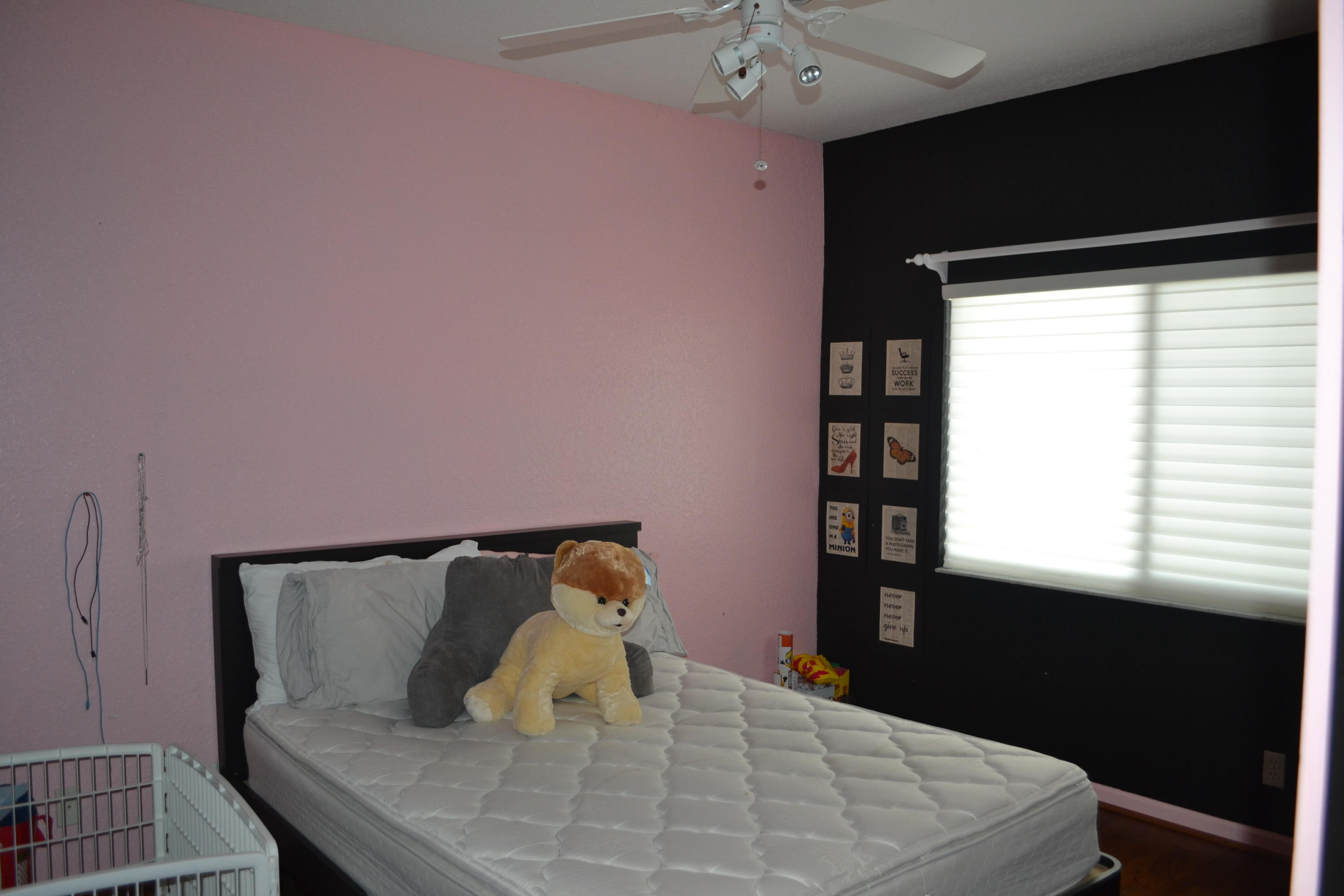5428 Northwest 41st Terrace Boca Raton, FL 33496 - Photo 14 of 18 DSC_0152