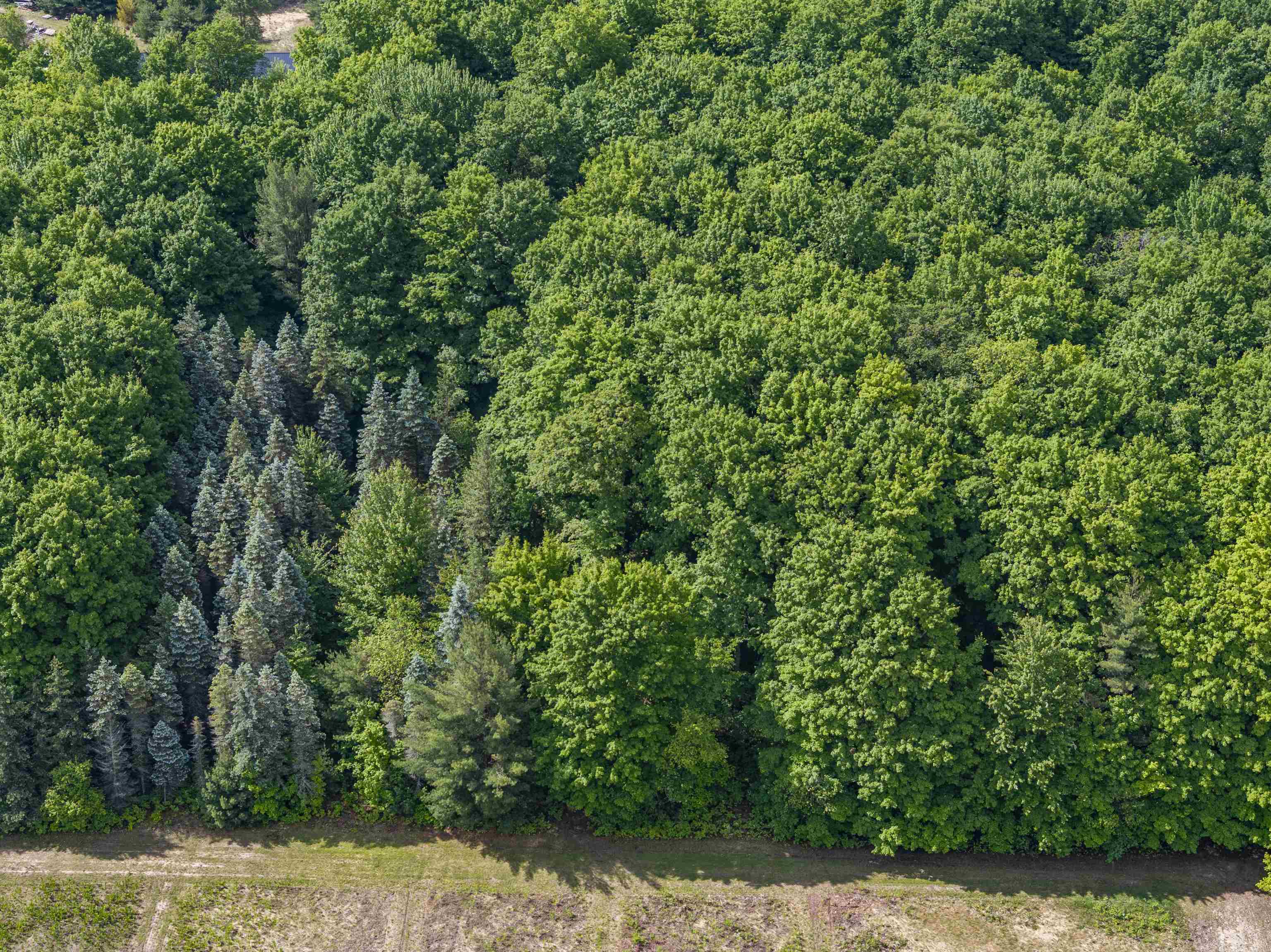 347 Boardman Road South Boardman, MI 49680 - Photo 57 of 66
