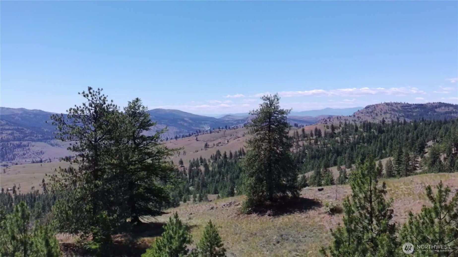 132 West Cayuse Mountain Road Tonasket, WA 98855 - Photo 19 of 29