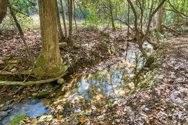 $850,000 | 217 Goldmine Road, Morganton, GA 30560
