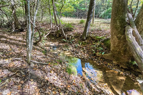 $850,000 | 217 Goldmine Road, Morganton, GA 30560