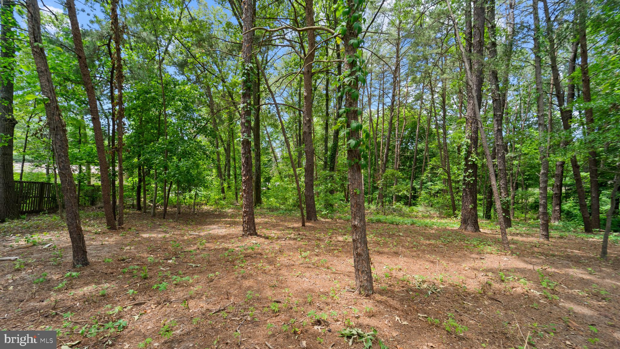 7925 Winterbrook Court Severn, MD 21144 - Photo 15 of 15