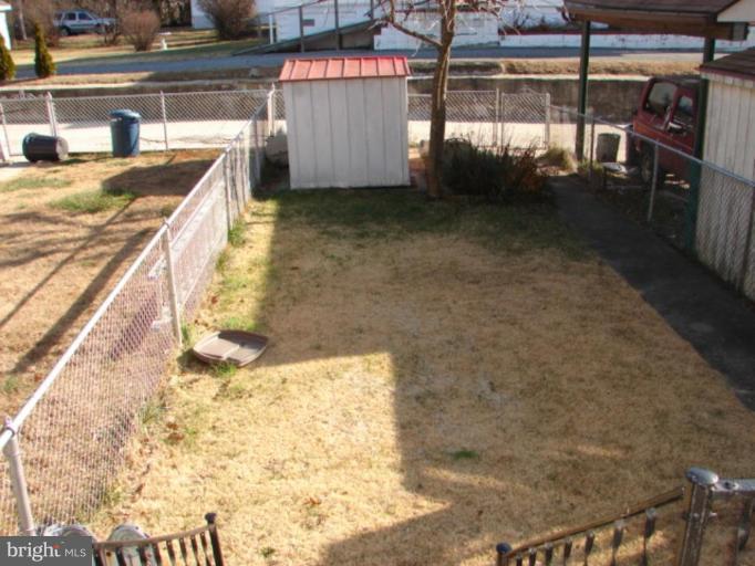 Back yard