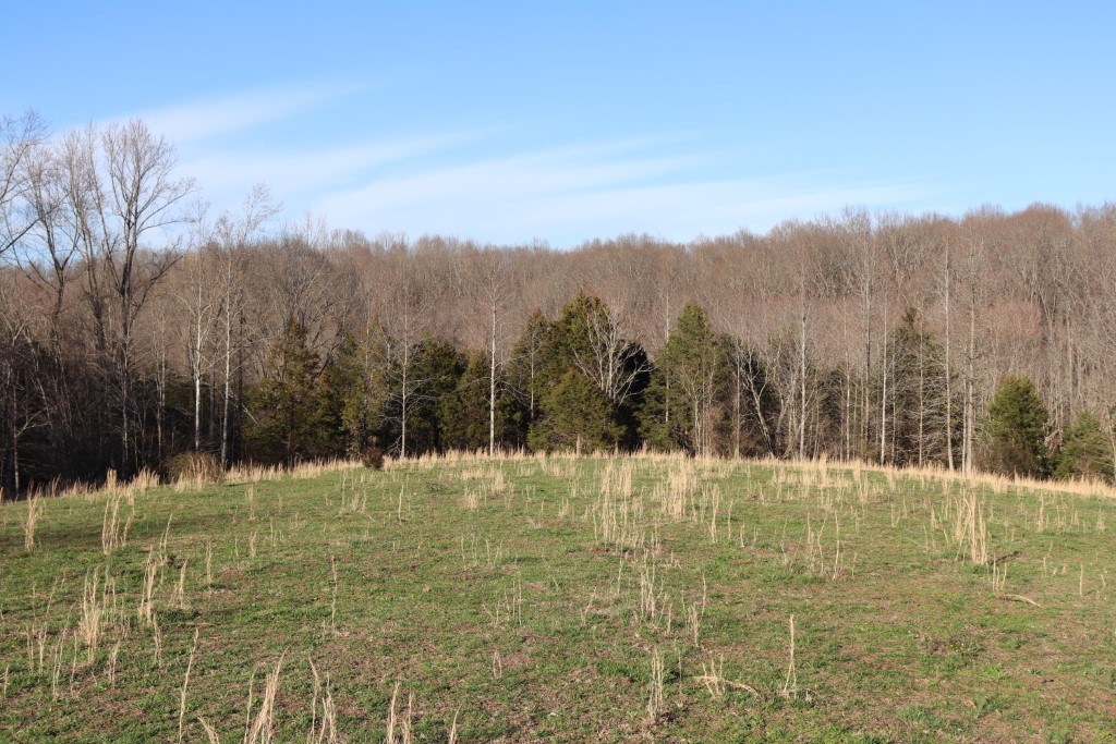1 Purtle Road Lafayette, TN 37083 - Photo 6 of 8 Gallery Image 6